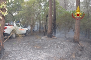 incendi sicilia