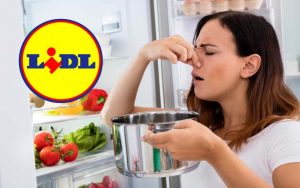 Alimenti andati a male in frigo, soluzione Lidl