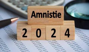 Amnistia fiscale - Web - Moralizzatore.it