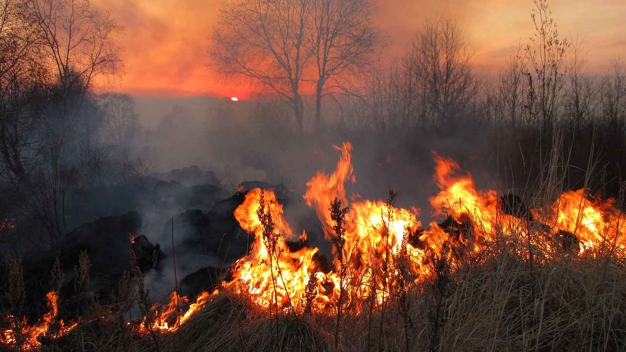 Los Angeles in fiamme